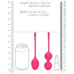  Loveline Duo de 2 Boules de Geisha Wildberry